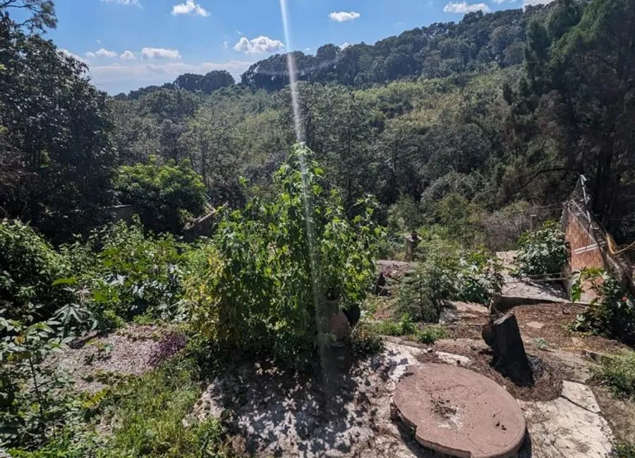 CASA LOMAS DE ATZINGO